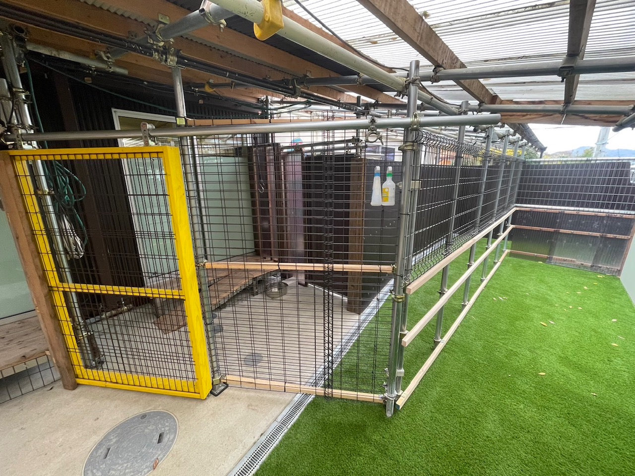 Dog Run Facilities