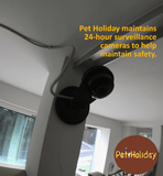 Safety is a priority at Pet Holiday. We constantly monitor your pet throughout its stay with us.  
